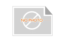 Common Rail Fuel Injector Control Valve F00VC01313 Injector 0 445 110 175  0445110175 for Opel Astra H 1.7 CDTI 74 KW 0445110118