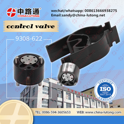 Valva de controlo 28650353 de alta qualidade para Delphi para o injetor de combustível da série Delphi 625C Ejbr00301d Ejbr00101d.