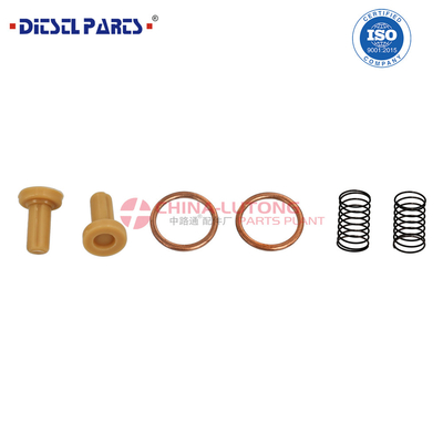 2 447 010 011 Conjunto de reparação de alta qualidade para a bomba VE do motor diesel 2 447 010 011 / 2 447 01 011 para a Dongfeng Tianlong KL VL para a Renault.