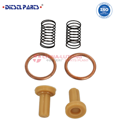 2 447 010 011 Conjunto de reparação de alta qualidade para a bomba VE do motor diesel 2 447 010 011 / 2 447 01 011 para a Dongfeng Tianlong KL VL para a Renault.