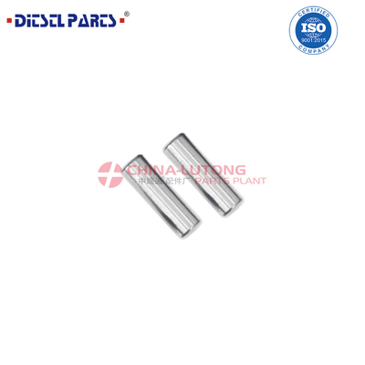 Kit de Reparação de Injetor de Combustível Kit de Reparação de Injetor de Denso