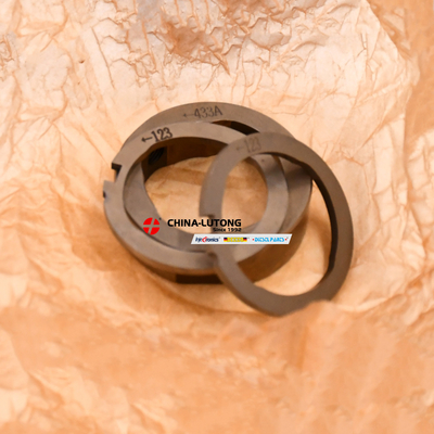 high-quality cam rings for perkins diesel trucks 7189-100C Cam Ring and Scroll Plate 7189-100C for Delphi DP210 DP310 9521A030G